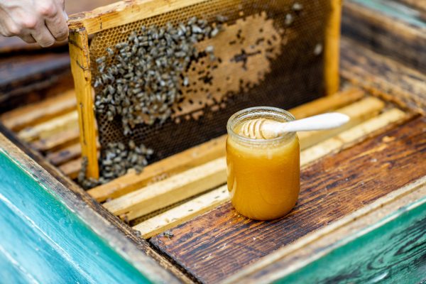 fresh-honey-on-the-beehive-2023-11-27-05-27-28-utc-600x400